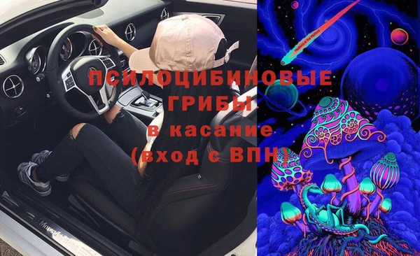 шишки Богородицк